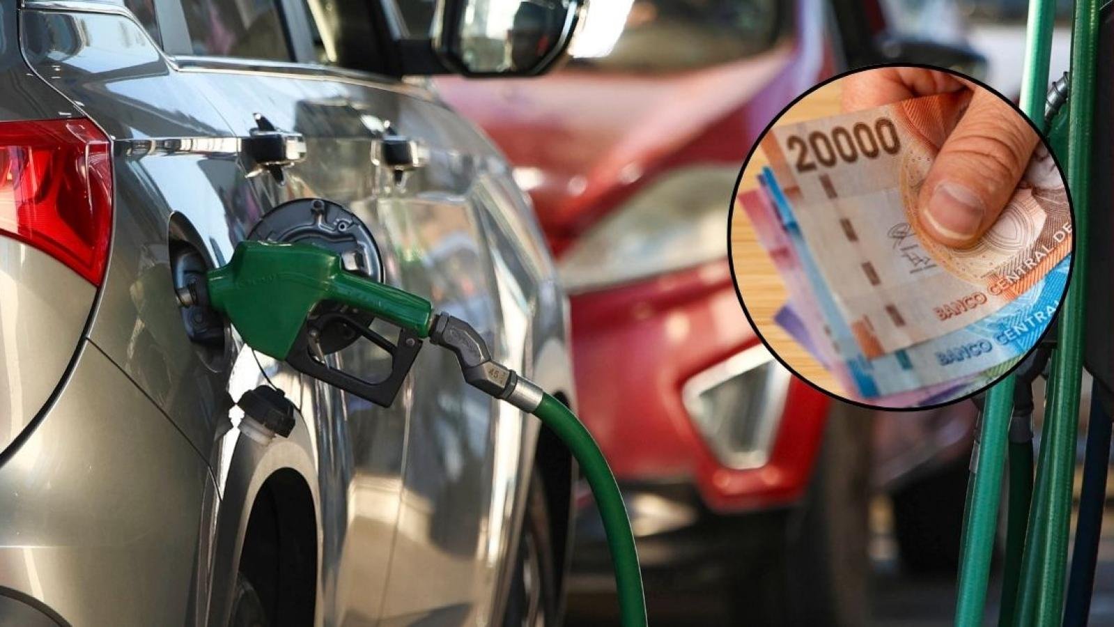 Decisiones Gubernamentales y Reacciones