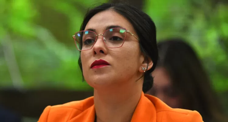Declaración de Cariola ante la PDI