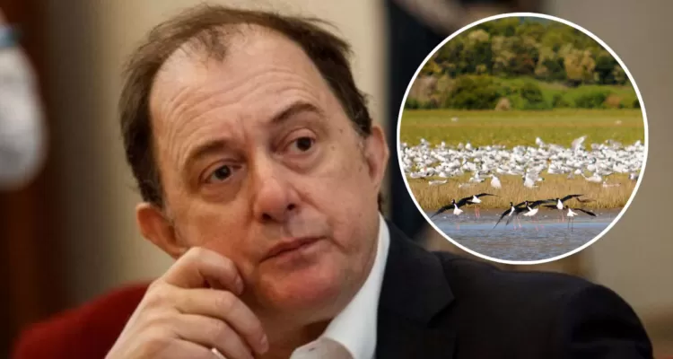 Impacto de la Ley de Humedales en Valdivia