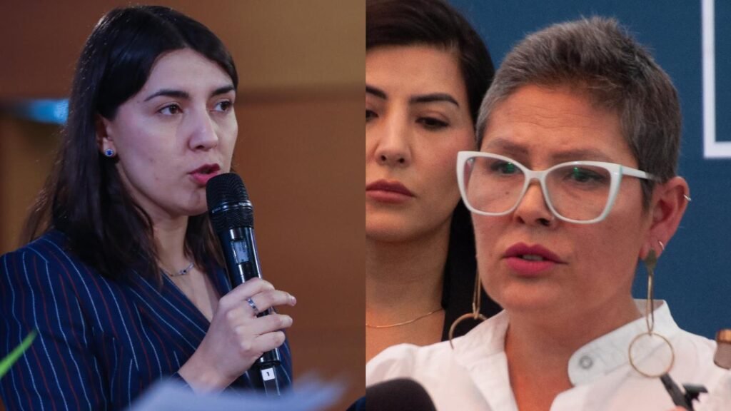 remoción de directora SernamEG – Decisión fundamentada y espacio para mejoras