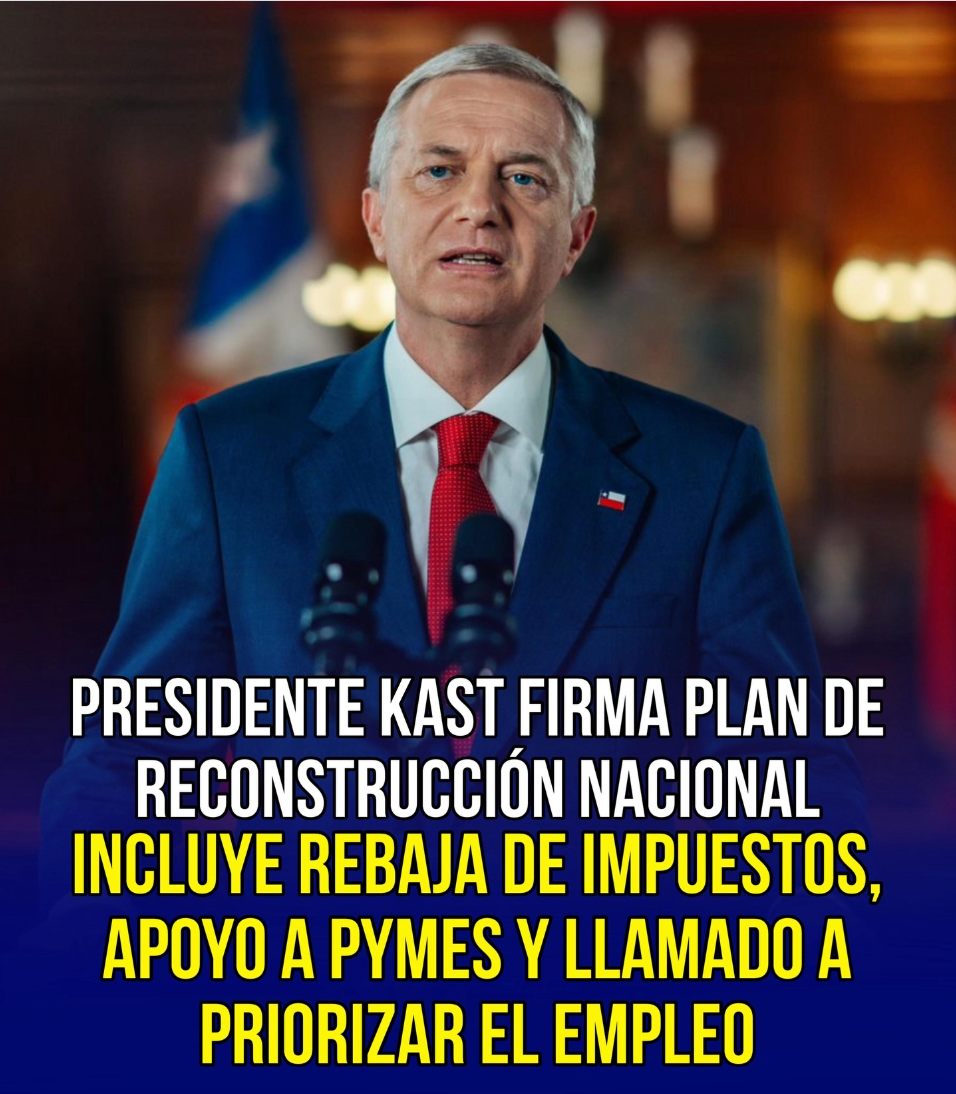 Detalles del Plan de Reconstrucción