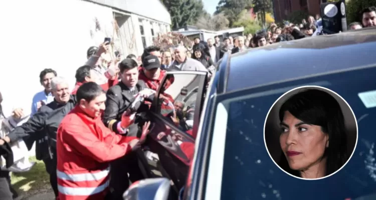 Perfil de los estudiantes investigados
