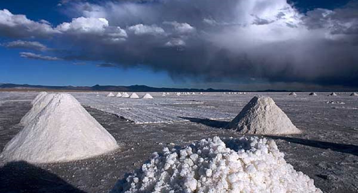 Antecedentes del Proyecto en el Salar de Atacama