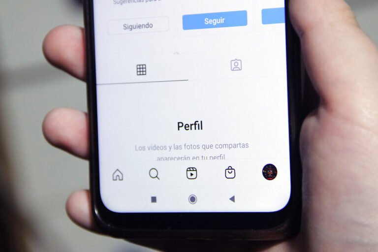 Iniciativa del Gobierno para Regular el Acceso Digital