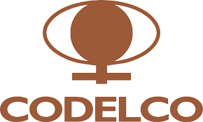 Cuestionamientos y desafíos en Codelco