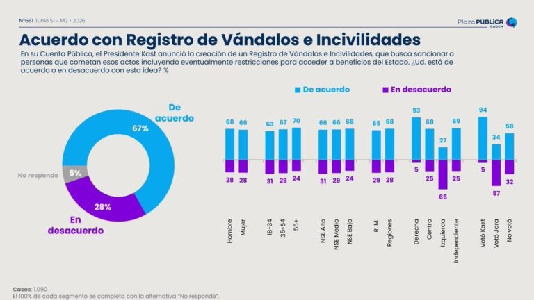 El Chile que está harto de los delincuentes: 67% respalda el Registro Nacional de Vándalos