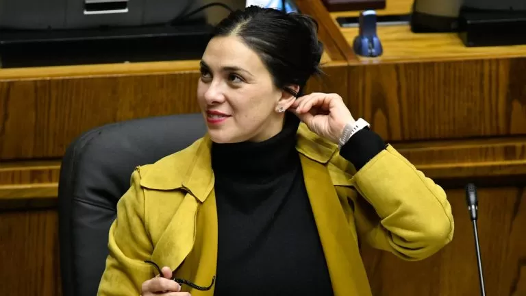 Karol Cariola tráfico de influencias senadora