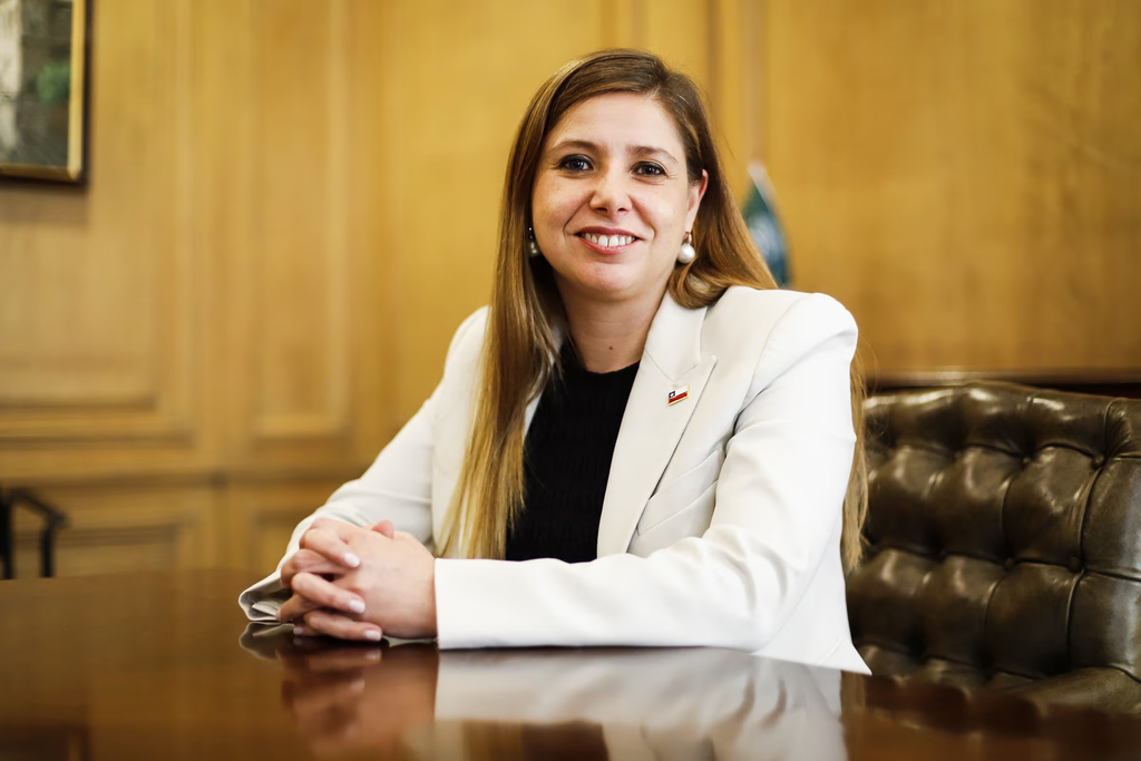 Pilar Giannini, subsecretaria de Seguridad Pública, durante entrevista sobre seguridad y libertad